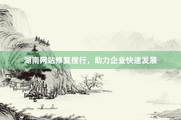 湖南网站修复捏行，助力企业快速发展
